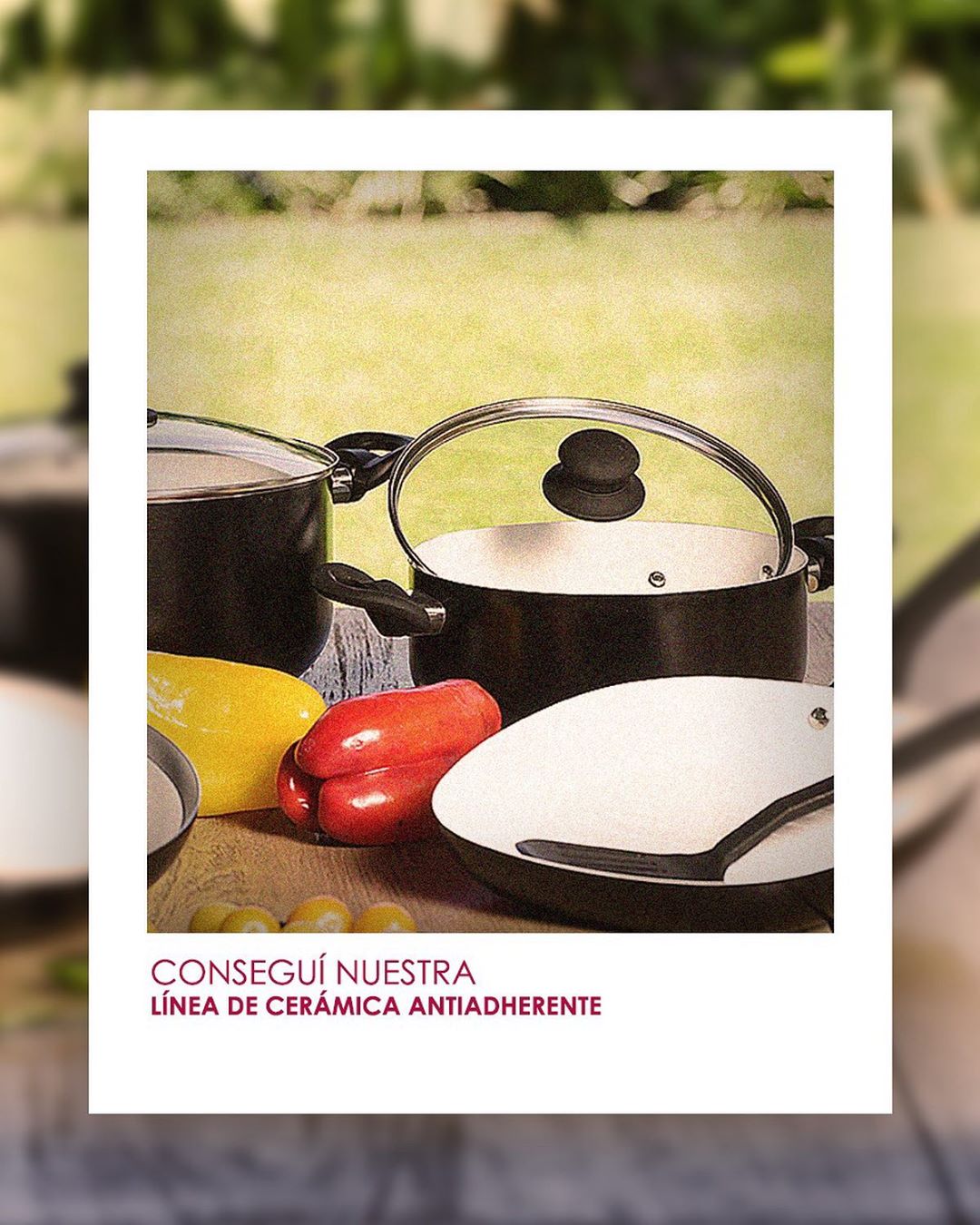 Nueva línea de cerámica antiadherente Carol